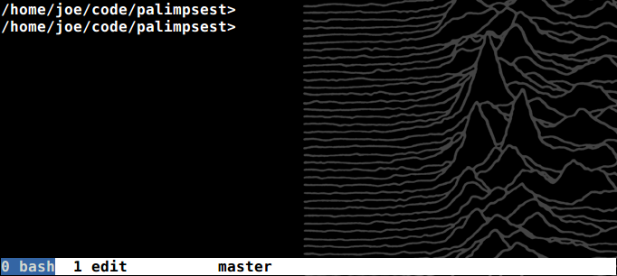 Screen Status Line Showing Git Branch